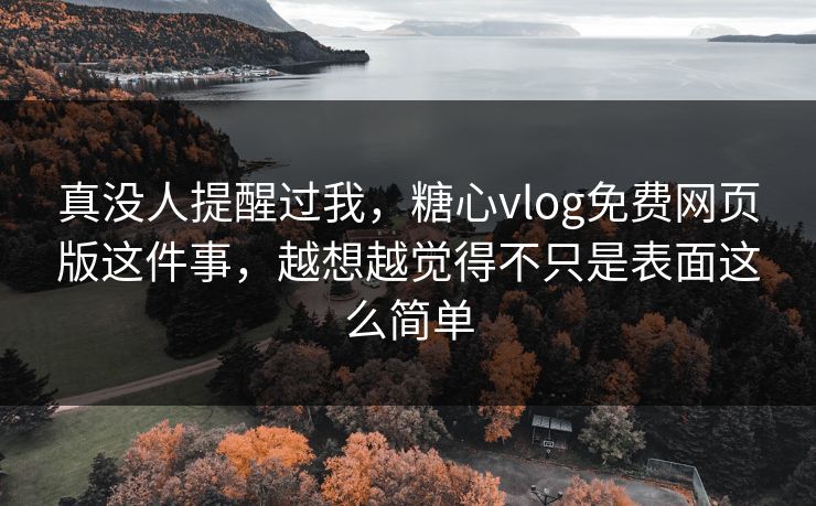 真没人提醒过我，糖心vlog免费网页版这件事，越想越觉得不只是表面这么简单