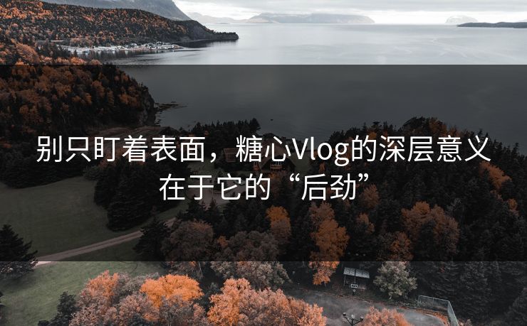 别只盯着表面，糖心Vlog的深层意义在于它的“后劲”