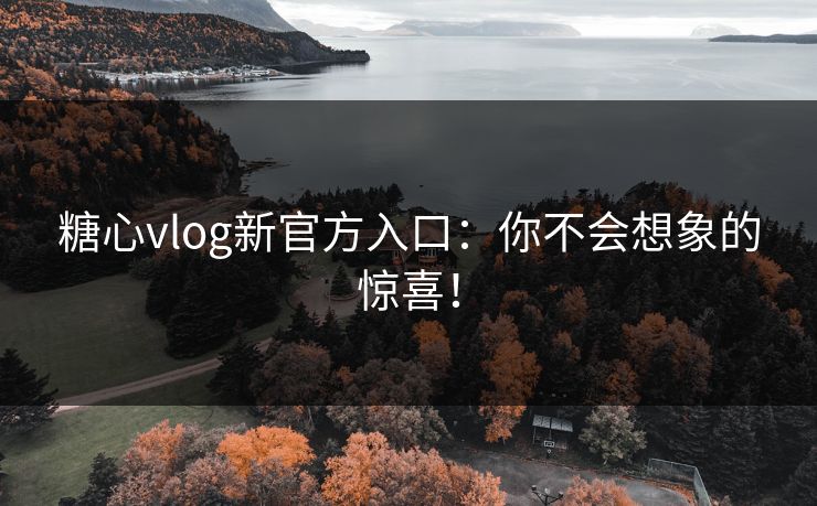 糖心vlog新官方入口：你不会想象的惊喜！
