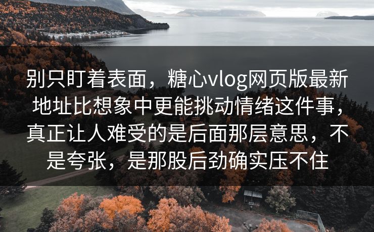 别只盯着表面，糖心vlog网页版最新地址比想象中更能挑动情绪这件事，真正让人难受的是后面那层意思，不是夸张，是那股后劲确实压不住