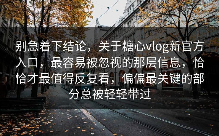 别急着下结论，关于糖心vlog新官方入口，最容易被忽视的那层信息，恰恰才最值得反复看，偏偏最关键的部分总被轻轻带过