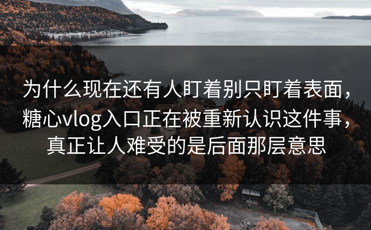 为什么现在还有人盯着别只盯着表面，糖心vlog入口正在被重新认识这件事，真正让人难受的是后面那层意思