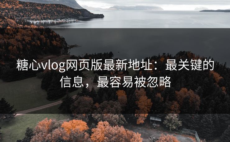 糖心vlog网页版最新地址：最关键的信息，最容易被忽略