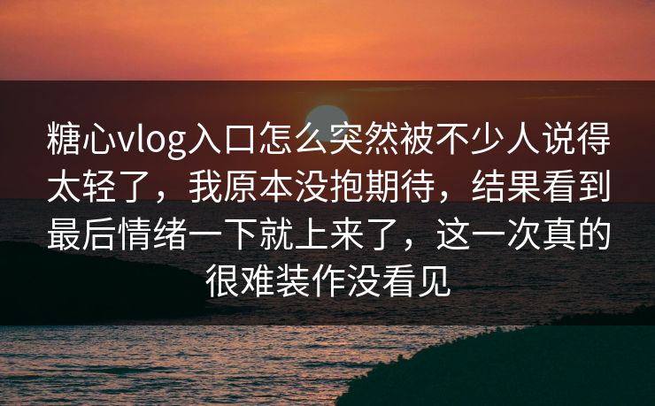 糖心vlog入口怎么突然被不少人说得太轻了，我原本没抱期待，结果看到最后情绪一下就上来了，这一次真的很难装作没看见