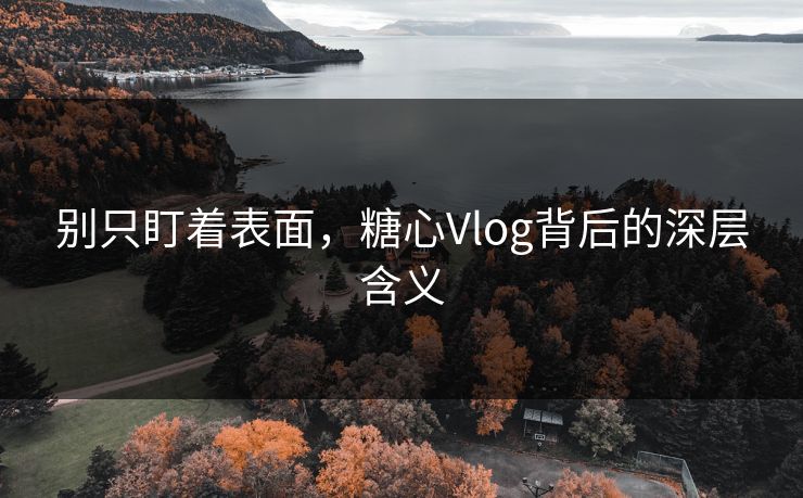 别只盯着表面，糖心Vlog背后的深层含义