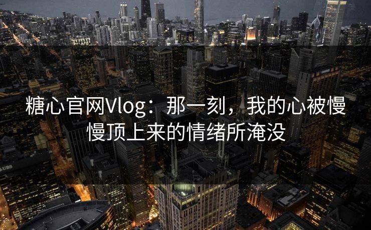 糖心官网Vlog：那一刻，我的心被慢慢顶上来的情绪所淹没