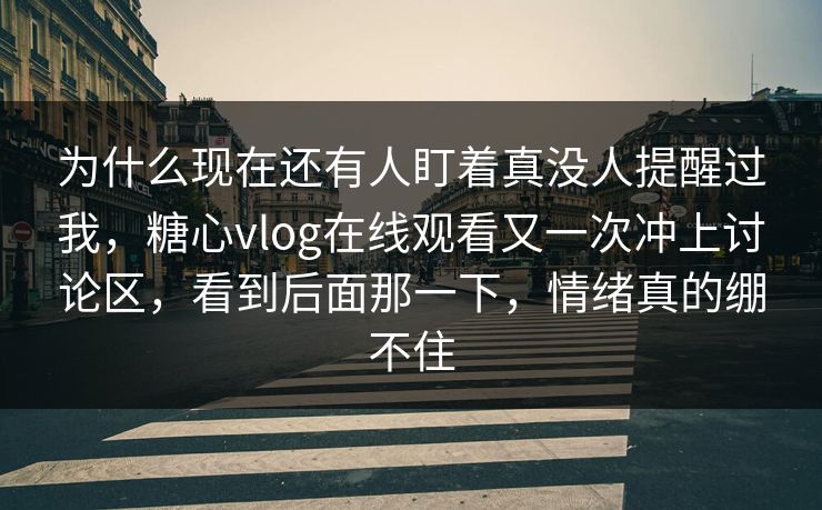 为什么现在还有人盯着真没人提醒过我，糖心vlog在线观看又一次冲上讨论区，看到后面那一下，情绪真的绷不住
